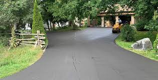 Best Driveway Pressure Washing  in Muleshoe, TX